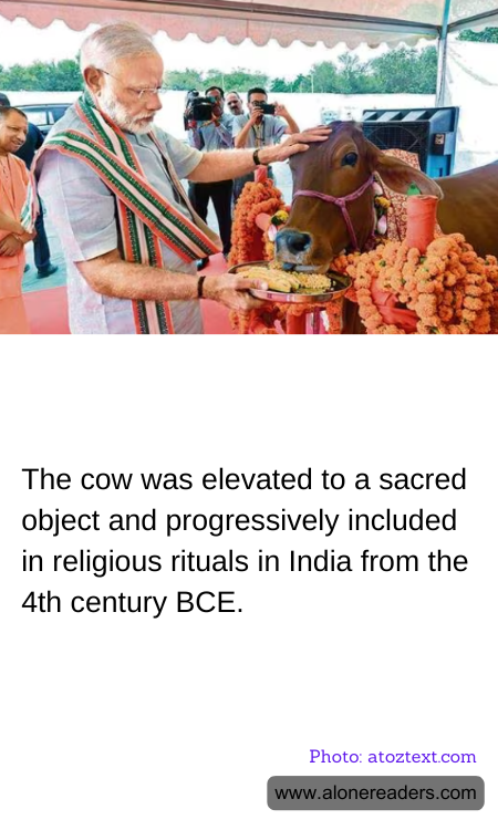 General Knowledge Learning Cards