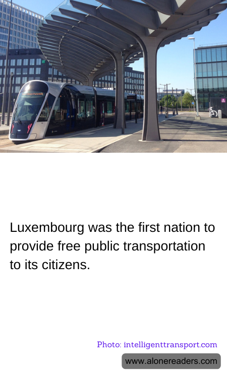 General Knowledge Learning Cards