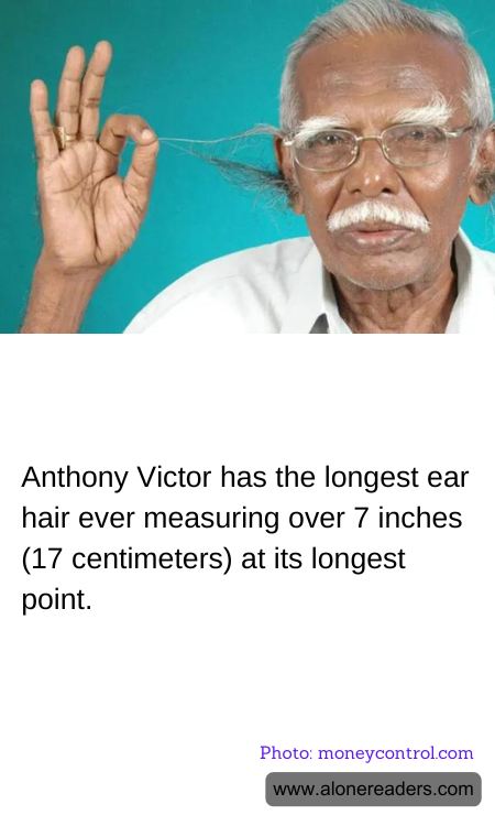 General Knowledge Learning Cards