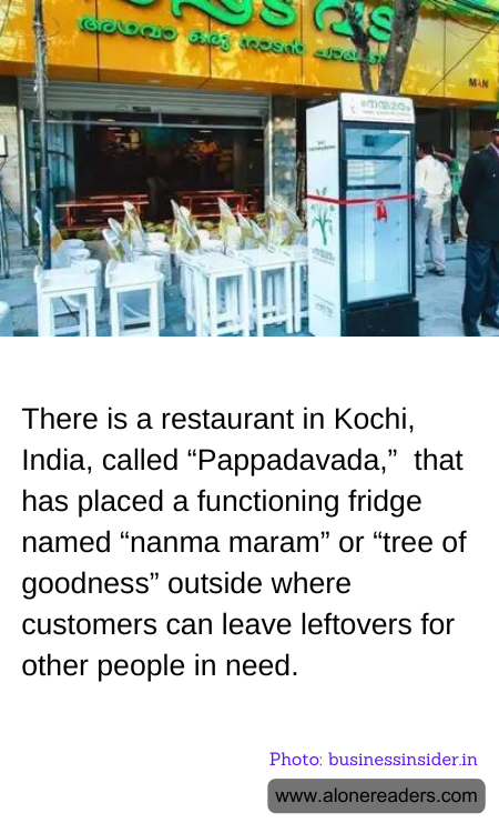 General Knowledge Learning Cards