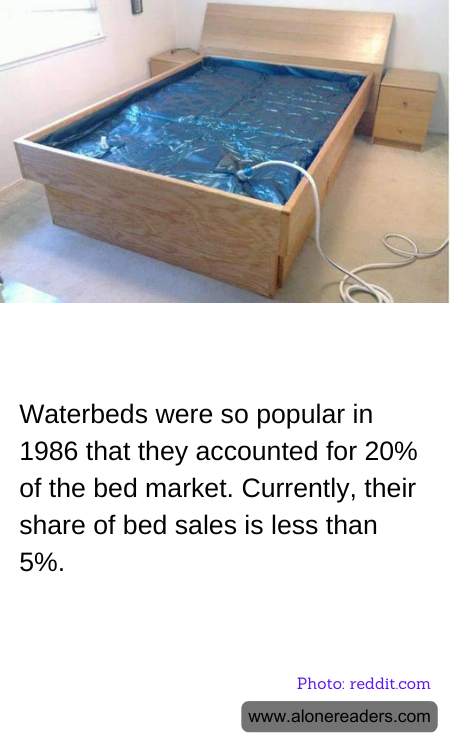 Waterbeds were so popular in 1986 that they accounted for 20% of the bed market. Currently, their share of bed sales is less than 5%.