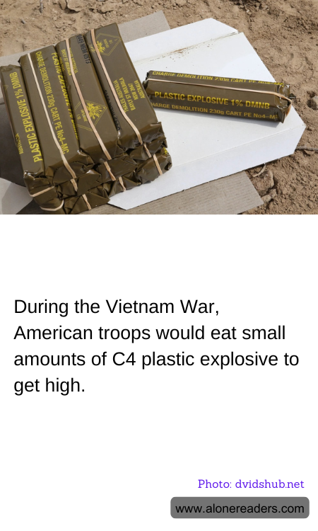 General Knowledge Learning Cards