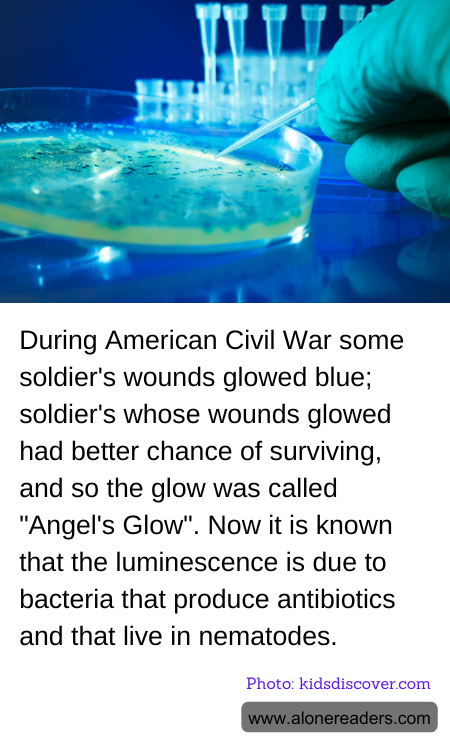 General Knowledge Learning Cards