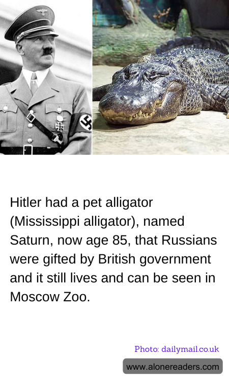 General Knowledge Learning Cards