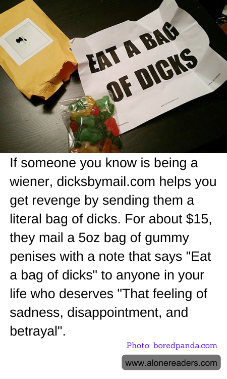 General Knowledge Learning Cards