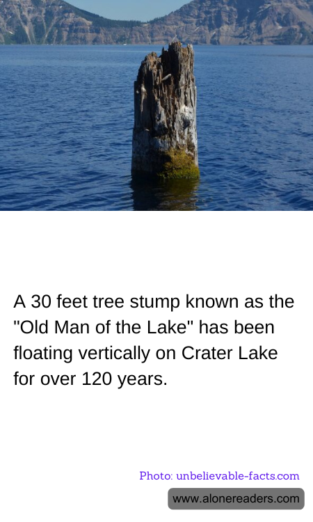 General Knowledge Learning Cards