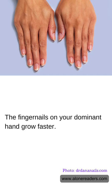 The fingernails on your dominant hand grow faster.