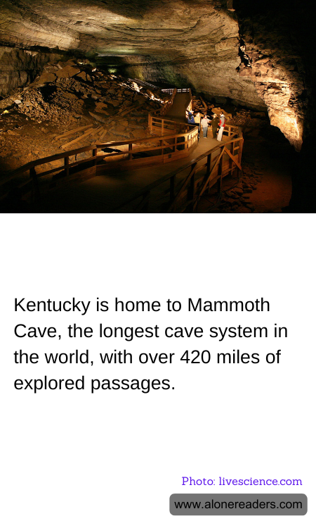 General Knowledge Learning Cards