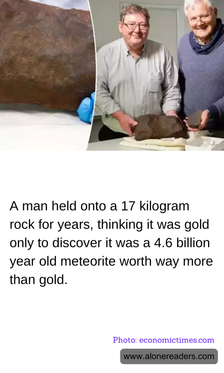 A man held onto a 17 kilogram rock for years, thinking it was gold only to discover it was a 4.6 billion year old meteorite worth way more than gold.