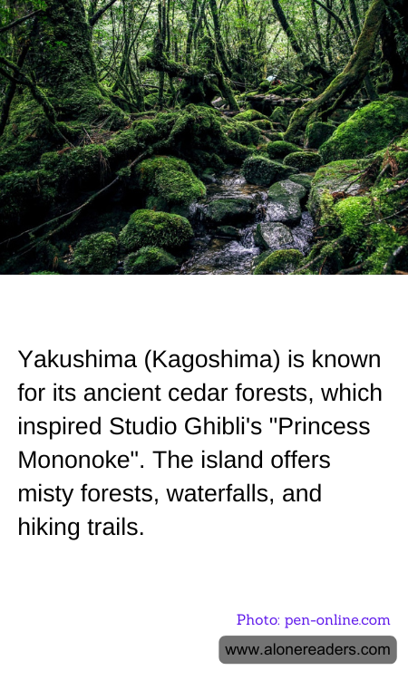 General Knowledge Learning Cards