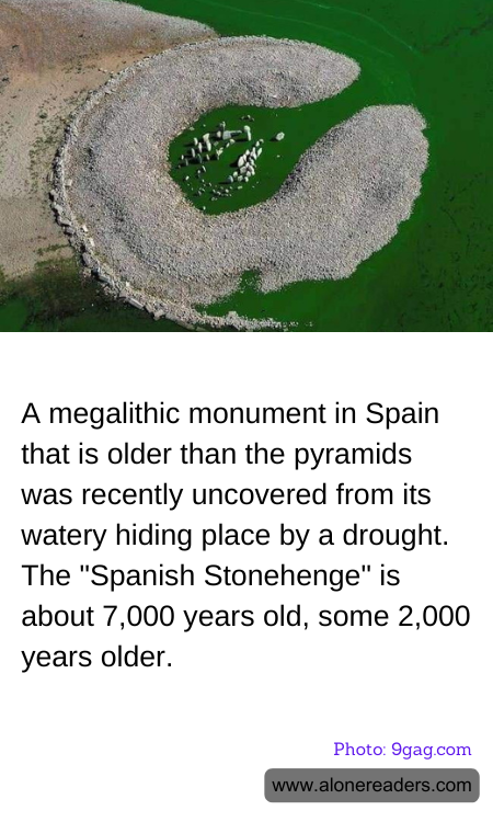 General Knowledge Learning Cards