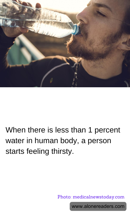 General Knowledge Learning Cards