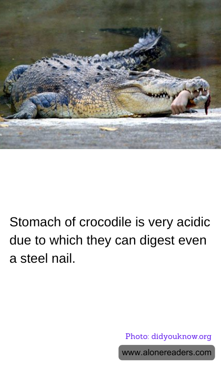 General Knowledge Learning Cards