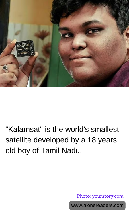 General Knowledge Learning Cards