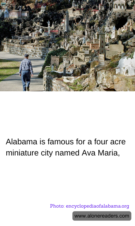 General Knowledge Learning Cards