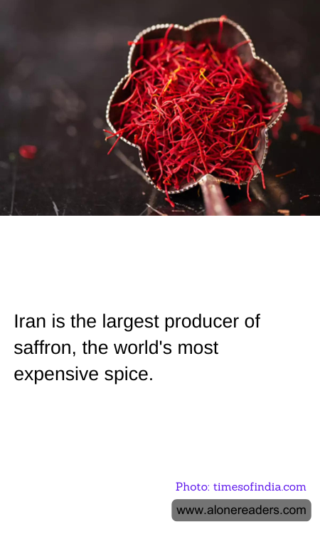 General Knowledge Learning Cards