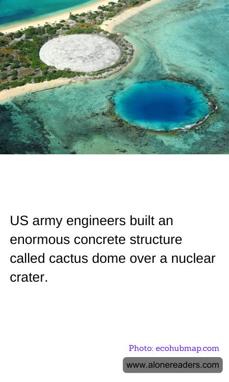 General Knowledge Learning Cards