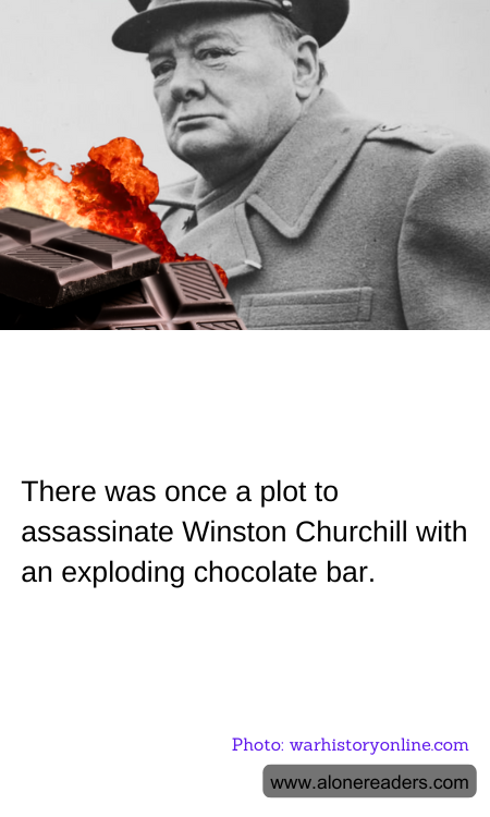 General Knowledge Learning Cards