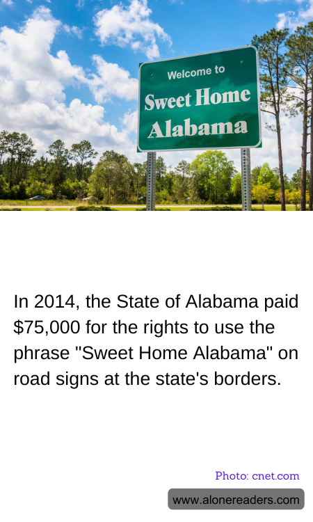 General Knowledge Learning Cards