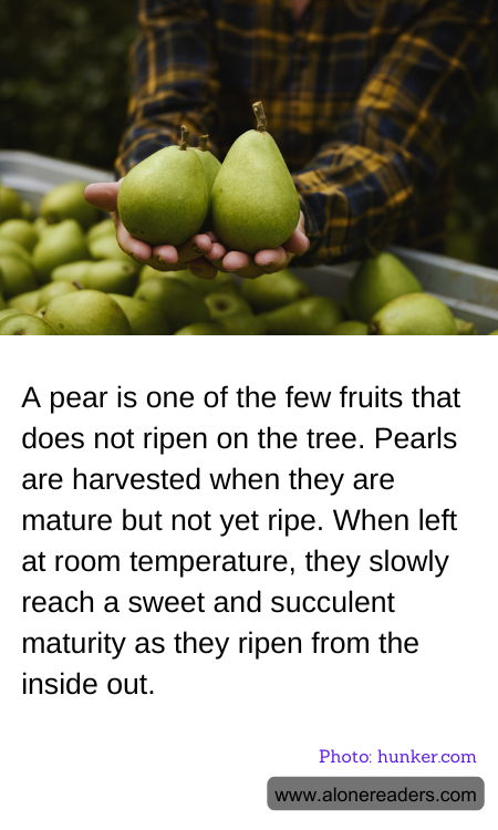 General Knowledge Learning Cards