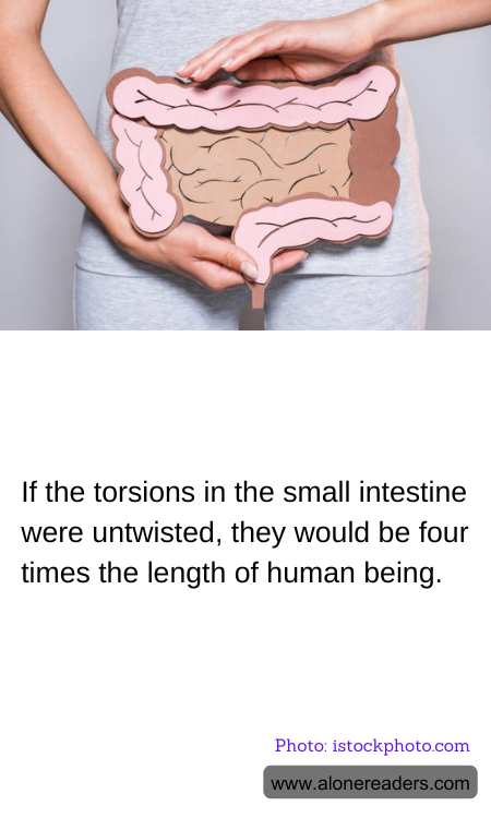 General Knowledge Learning Cards