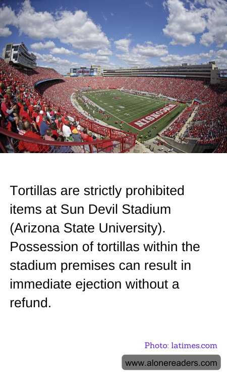 General Knowledge Learning Cards