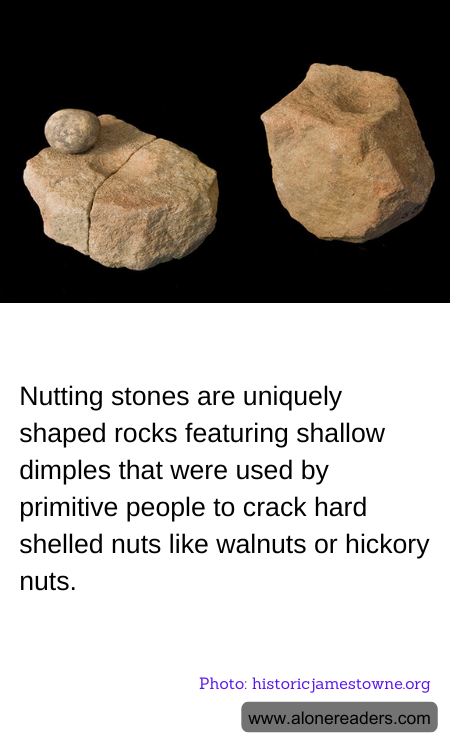 General Knowledge Learning Cards