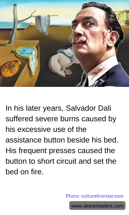 General Knowledge Learning Cards