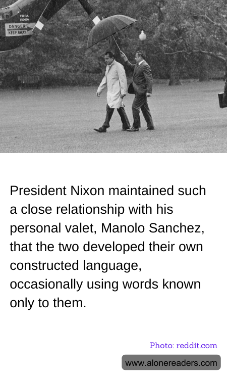 General Knowledge Learning Cards