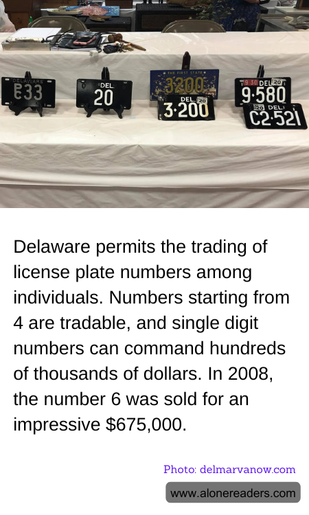 General Knowledge Learning Cards