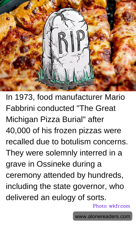 General Knowledge Learning Cards