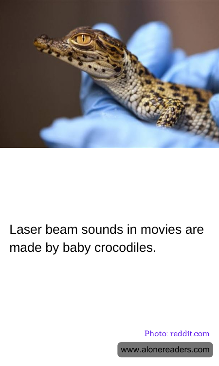 Laser beam sounds in movies are made by baby crocodiles.