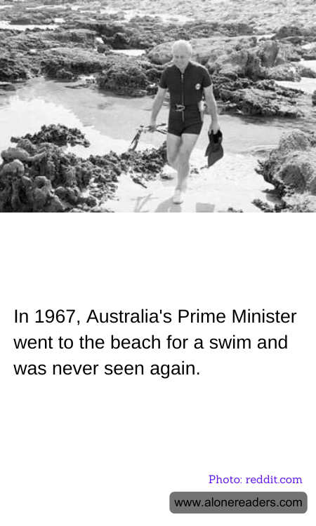 General Knowledge Learning Cards