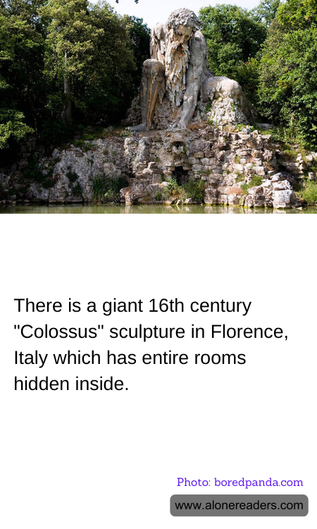 General Knowledge Learning Cards