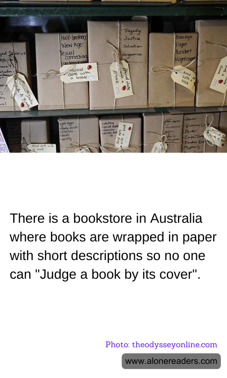 General Knowledge Learning Cards