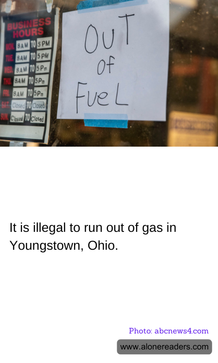 General Knowledge Learning Cards