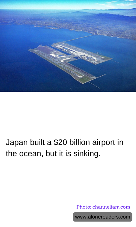 General Knowledge Learning Cards