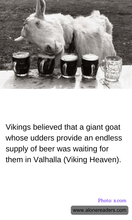 General Knowledge Learning Cards