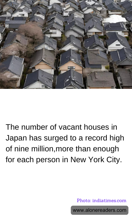 General Knowledge Learning Cards