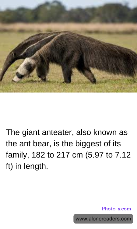 General Knowledge Learning Cards