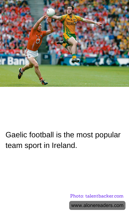 General Knowledge Learning Cards