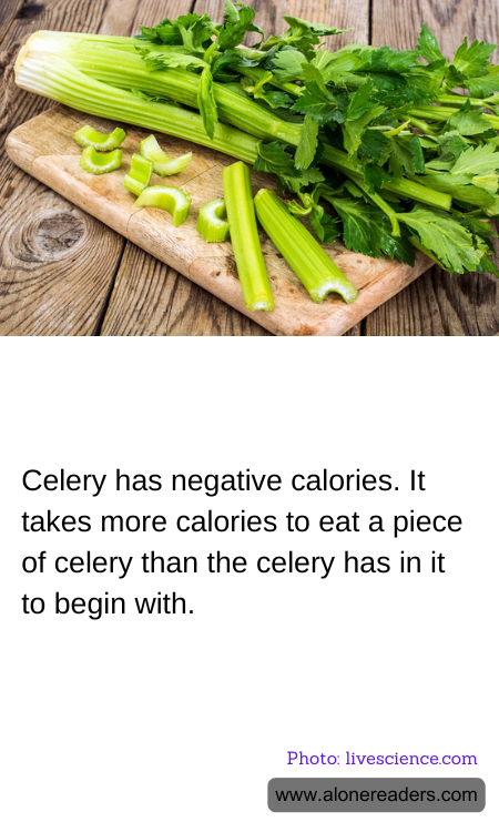 General Knowledge Learning Cards