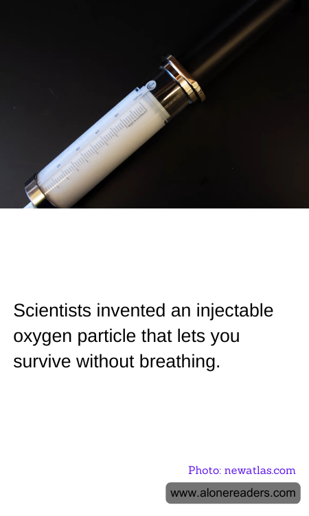 General Knowledge Learning Cards