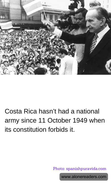 General Knowledge Learning Cards