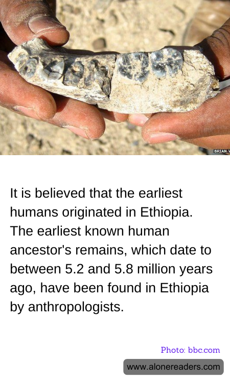 General Knowledge Learning Cards