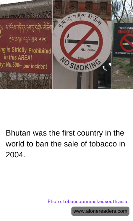 General Knowledge Learning Cards