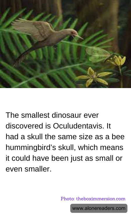 General Knowledge Learning Cards