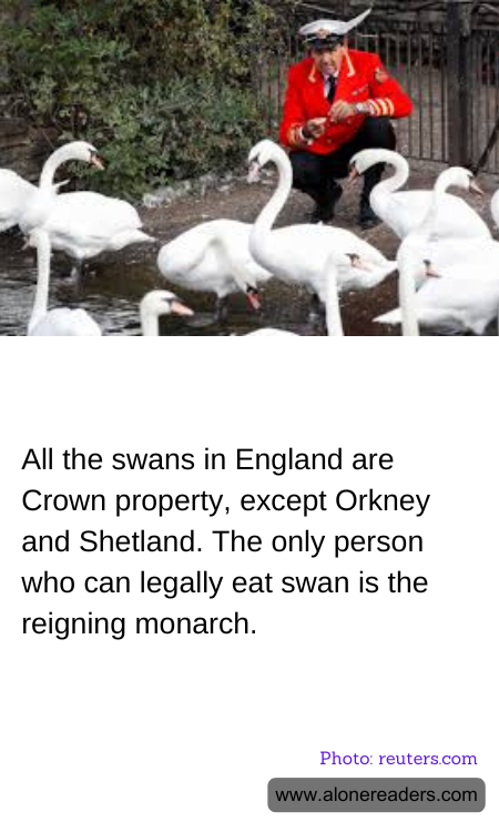 General Knowledge Learning Cards