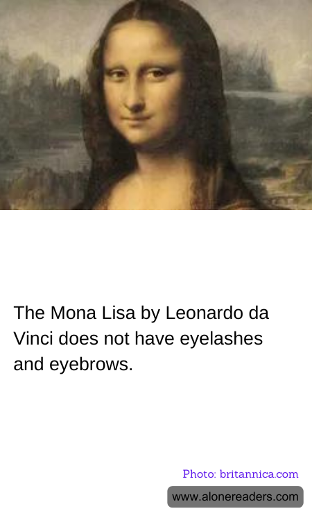 General Knowledge Learning Cards