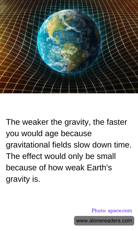 General Knowledge Learning Cards